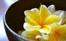 The Ulin Villas And Spa - By Karaniya Experience - Chse Certified
